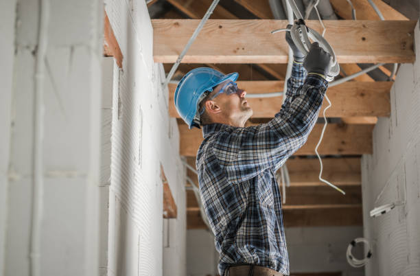 Best Local Electrician Companies  in Walterboro, SC